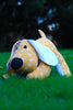 Upcycled Dog Soft Toy Bingo